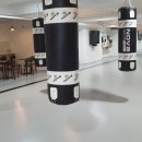 거북복싱체육관 이미지