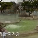 더앤 이미지