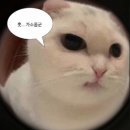 밈