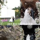 수석비디오 | 대구 본식DVD 비교 추천 총정리 업체 가격 구성 샘플영상(데이모먼트 멜팅필름 소인유 르랑필름 오호스...