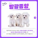 서울동물영상종양센터 이미지