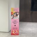 시코르 서포터즈2기 발대식 (지원부터 면접 후기까지)