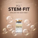 스템잇 이미지