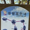현덕위생 - 1393 | 서울에서의 당일치기 여행/ 단종의 도시 영월/조선 왕조의 슬픈 발자취를 따라서: 청령포부터 장릉까지...