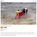 [북부] (야간)영어회화 초급 | [시원스쿨 스페인어 후기] 내 사랑 España🇪🇸