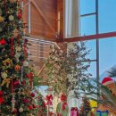 루몽드917 이미지