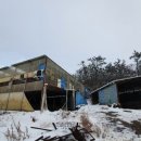 고서방흑염소 이미지