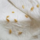 딩켈언덕 이미지