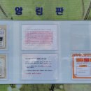 나무나라 이미지
