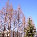 영남대학교 이미지