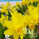 고운글 이미지