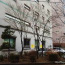 21세기장식 - 통영시 동문로 50-1 | 21세기장식