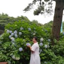 온리더베스트
