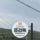 파프리카펜션B(블루동) | 태안 안면도 애견펜션 프리독 애견동반 여행 숙소 추천