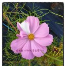 아이파크정문공인중개사사무소 이미지