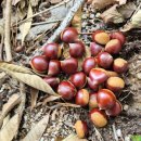 별내면제2공영주차장(청학교 하부)[청학-6] | 수락산 사기막능선 등산 향로봉 칠성대 주봉 청학리 원점회귀 주차 가능 코스