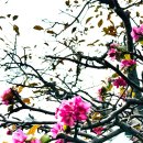 성산구 ⓒ-18 이미지