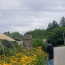 춘화로 | 몇 년 만에 가본 춘천🏠농장, 맛집 투어 “솔직 후기”