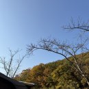 오토갤러리행정사사무소 | [울산]작천정별빛야영장 “작괘천오토캠핑장 6번 사이트”