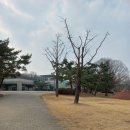 올림픽공원-몽촌역사관 이미지