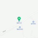 신비키즈가족풀빌라펜션 이미지