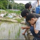 선택농장 이미지