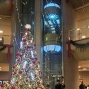 국립발레단 <호두까기인형> | 예술의 전당 국립발레단 호두까기 인형 후기