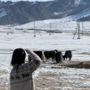 몽스데이 | 2026年 3月, 셋째주