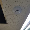 수원-0175 이미지