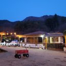 펫밀리펜션 이미지