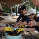 이영철농장 이미지