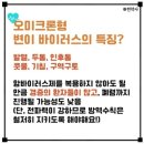 엘림피아노학원 이미지