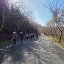 마봉약수터화장실 이미지