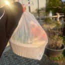 명가손만두상모사곡점 | 경주현지인맛집 보문 불국사밥집 보불어탕명가 수제비 후기