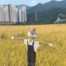 시인공간 이미지