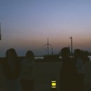 우리들의월정리 이미지