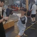 성남 탑 복싱 이미지