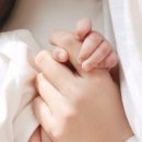 궁중의 밤 이미지