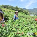 순창군미생물산업사업소 이미지