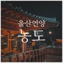 명촌길천로L | 울산 언양 카페농도ㅣ아기랑 가기 좋은 좌식 한옥카페 후기