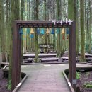 중산간 티스토리