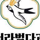 하루다과 이미지