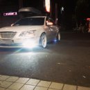 뉴 퍼시픽 이미지