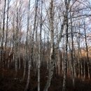 치유의 숲 주차장 화장실 이미지