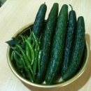 학전농장 이미지