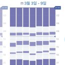수면 교육 컨설팅 후기[디어베어](지인정보 할인, 가격 포함)