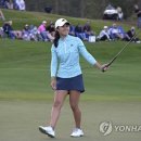 M Golf 이미지
