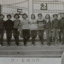 도천초등학교 이미지