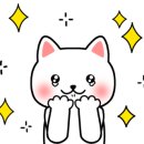범이푸드 이미지