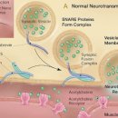 김진수내과의원 이미지